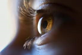 zbliżenie ludzkiego oka z widoczą tęczówką w kolorze jasnobrązowym