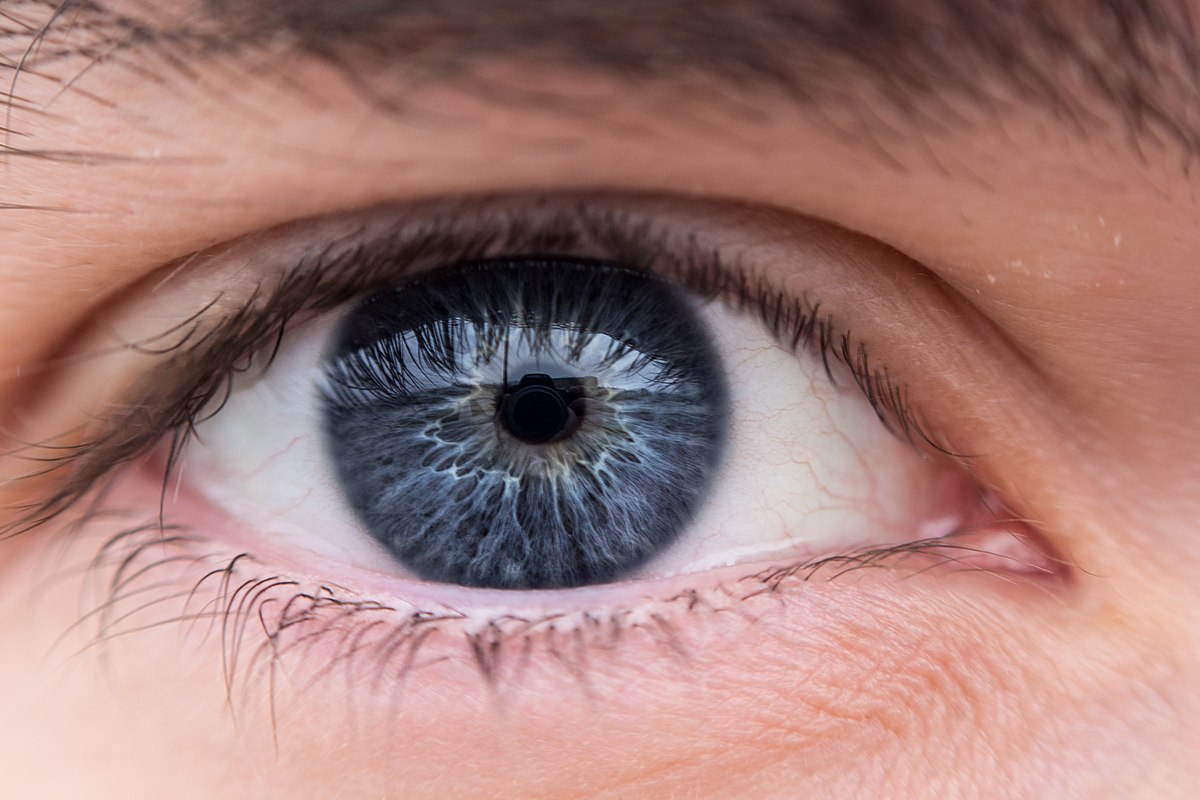 oko z widoczną tęczówką w kolorze niebieskim